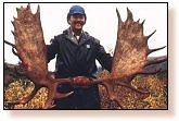Hunting Yukon-Alaskan Moose